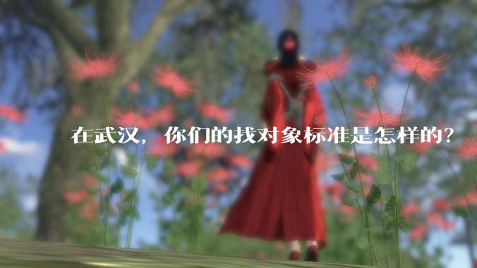 在武汉,你们的找对象标准是怎样的?
