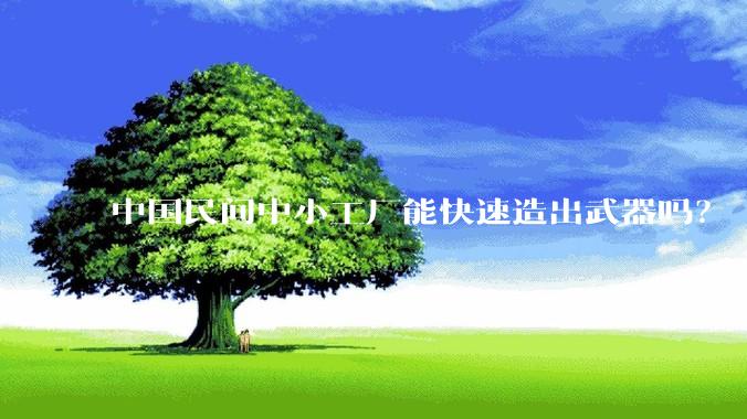 中国民间中小工厂能快速造出武器吗?